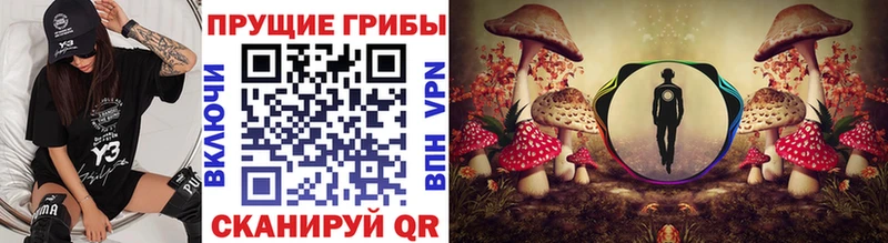 Галлюциногенные грибы мицелий  где купить наркотик  Дзержинск 
